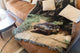 Plaid Benzin Colin McRae